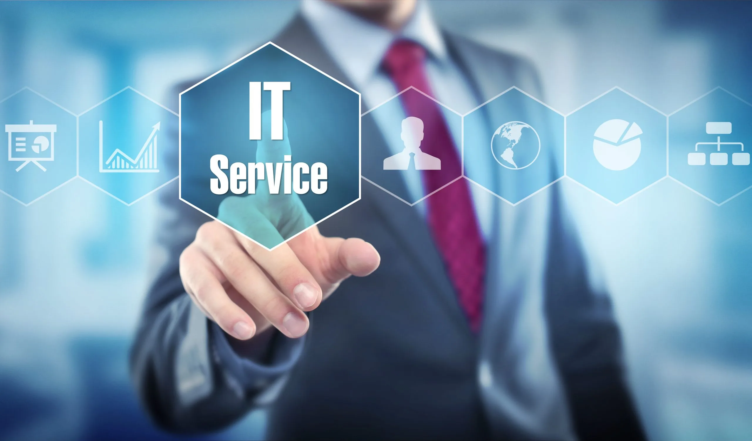 Boise IT Service